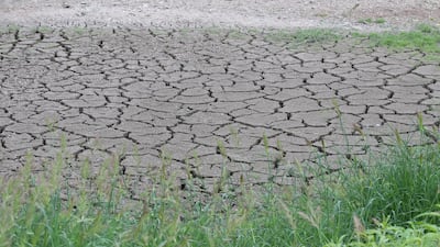 Rain to Ease Drought-Hit South, Jeju During Holiday