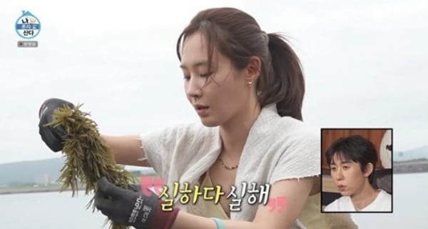 유리, "제주서 먹고사는 데 집중" 직접 캔 톳으로 '명란 톳 솥밥' 뚝딱..'최고의 1분' (나혼산)