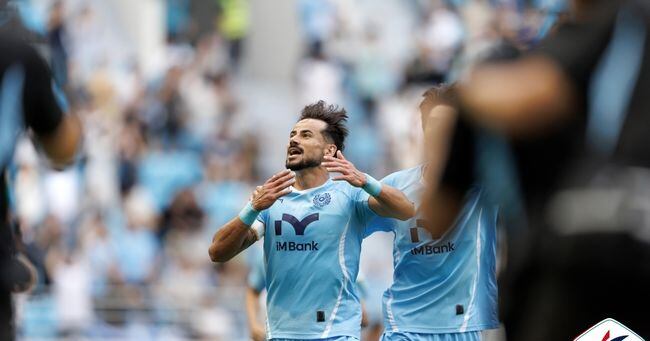 세징야 관련 조선일보 기사 대표 이미지