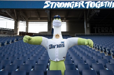 창원NC파크에서 포즈를 취한 쎄리.