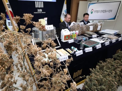 ‘해외 도피’ 마약사범 발본색원… 줄줄이 붙잡혀 들어왔다