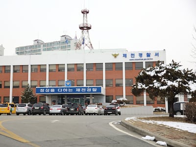 도유림서 불법 잣 채취하던 중국인, 나무에서 떨어져 숨져