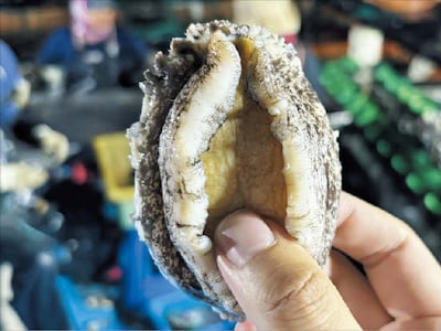 값싸진 전복… 고속도 휴게소 메뉴에도 올라