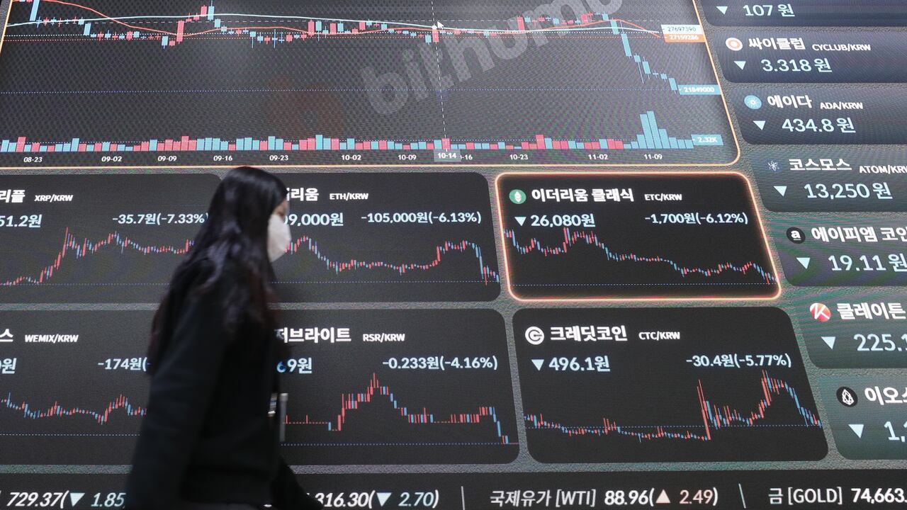 조형래 칼럼] 민주당은 왜 난장판 코인 시장을 방치했을까