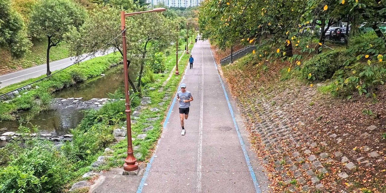 가을빛이 돌기 시작하는 탄천에서 조깅을 하는 모습. /채민기 기자