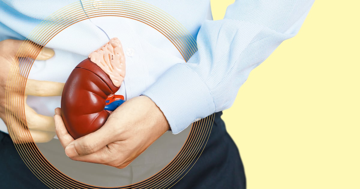 Photo: 조선일보 Low Protein Intake Linked to Kidney Risk in Asian CKD Patients