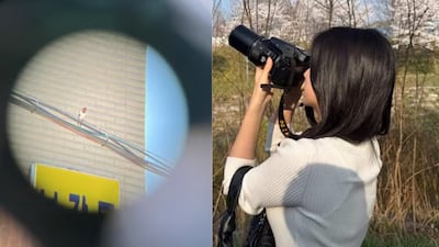 MZ Generation Finds Healing in Birdwatching Trend