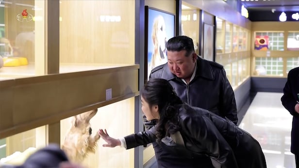 펫샵' 홍보 나선 김정은, 주애는 고양이 '쓰다듬'