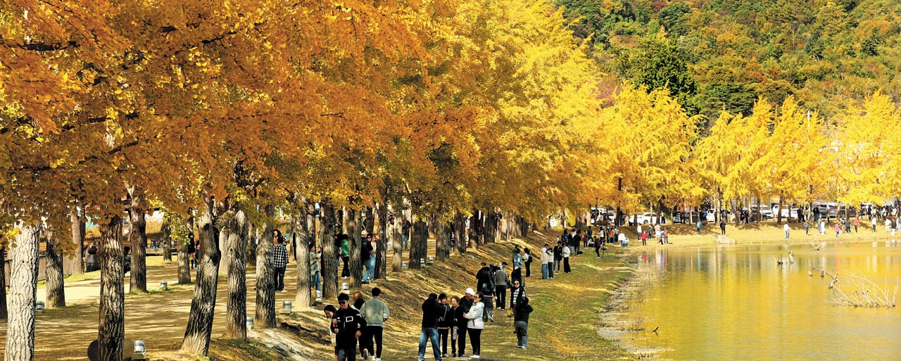 https://www.chosun.com/resizer/v2/PUCH7LDV3BC3BPZOQDZNT3SEXM.jpg?auth=faeef8ef02bb46575c9d35ebe31b21f3cfb34d22ae71eb79a996438975db1dbf&width=1280