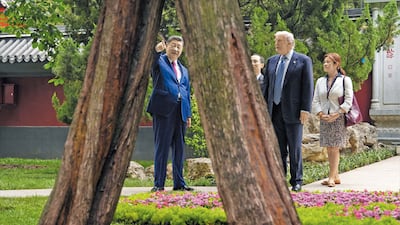 시진핑, 연리지 보여주며 “300년 된 나무가 한몸 연결”