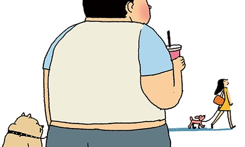 ÀÏ·¯½ºÆ®=ÀÌö¿ø