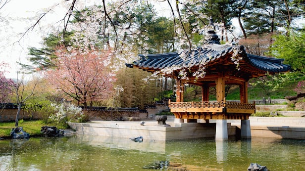 경기도 용인에 있는 호암미술관 정원 '희원'. 한국 전통정원의 멋을 그대로 보여준다는 평가를 받는다. /조경설계 서안