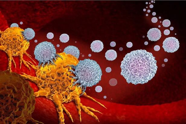 암세포(주황색)를 공격하는 나노입자의 상상도./Lightspring