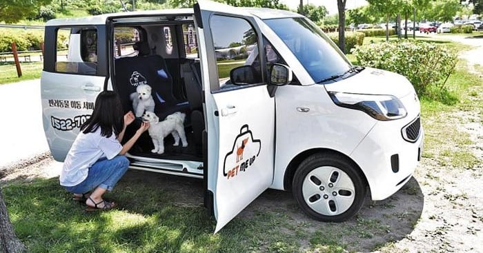 톡톡 튀는 아이디어, 스타트업 9곳 열정을 이곳에서… - 뉴스 썸네일 이미지