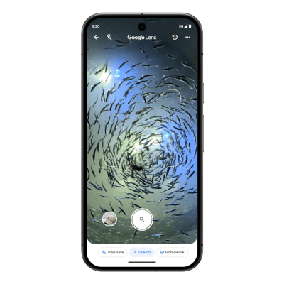 구글 렌즈를 통해 동영상을 촬영해 질문하는 모습./구글