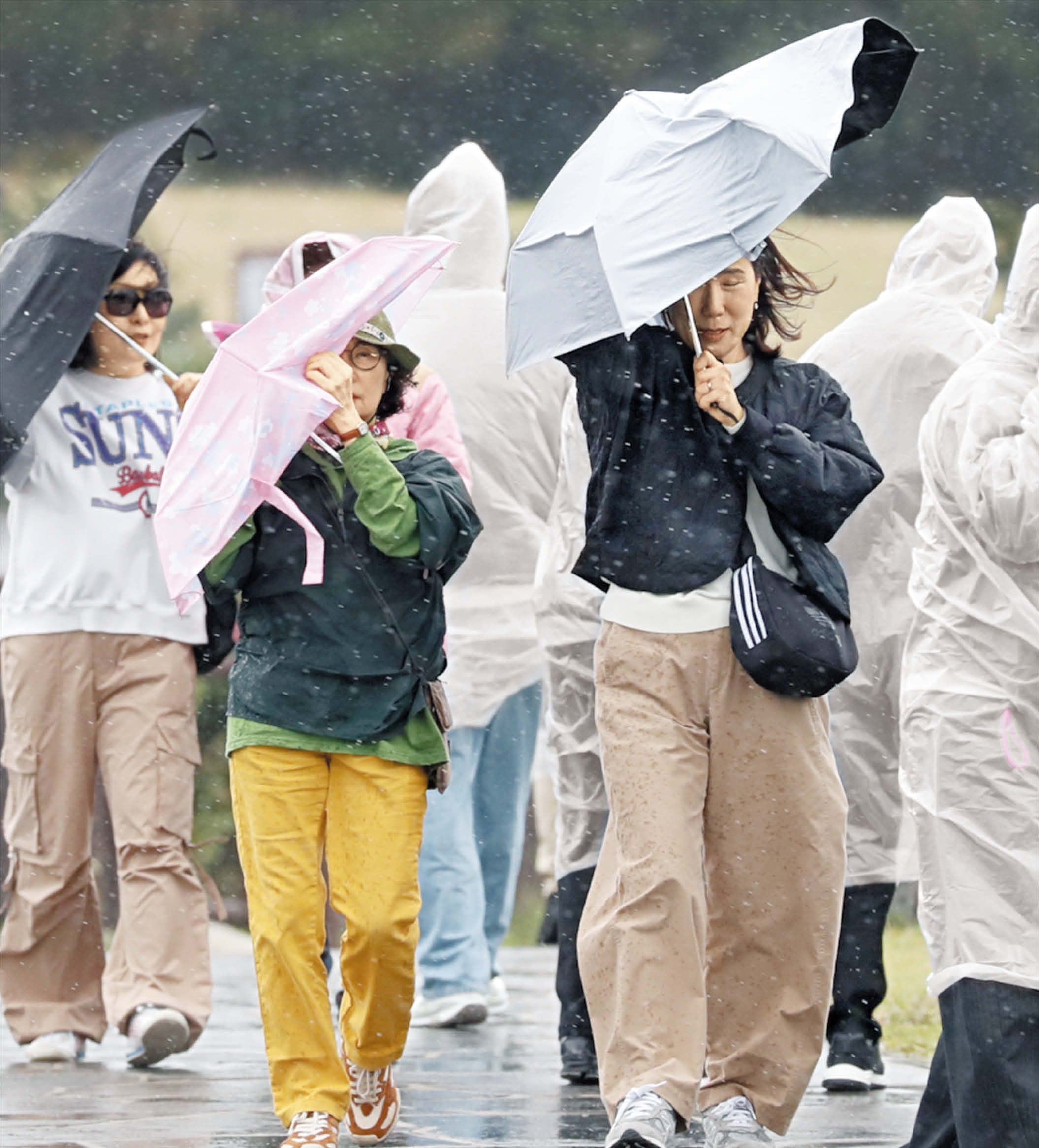태풍 ‘참피’ 북상… 제주도 내일까지 최고 150㎜ 비