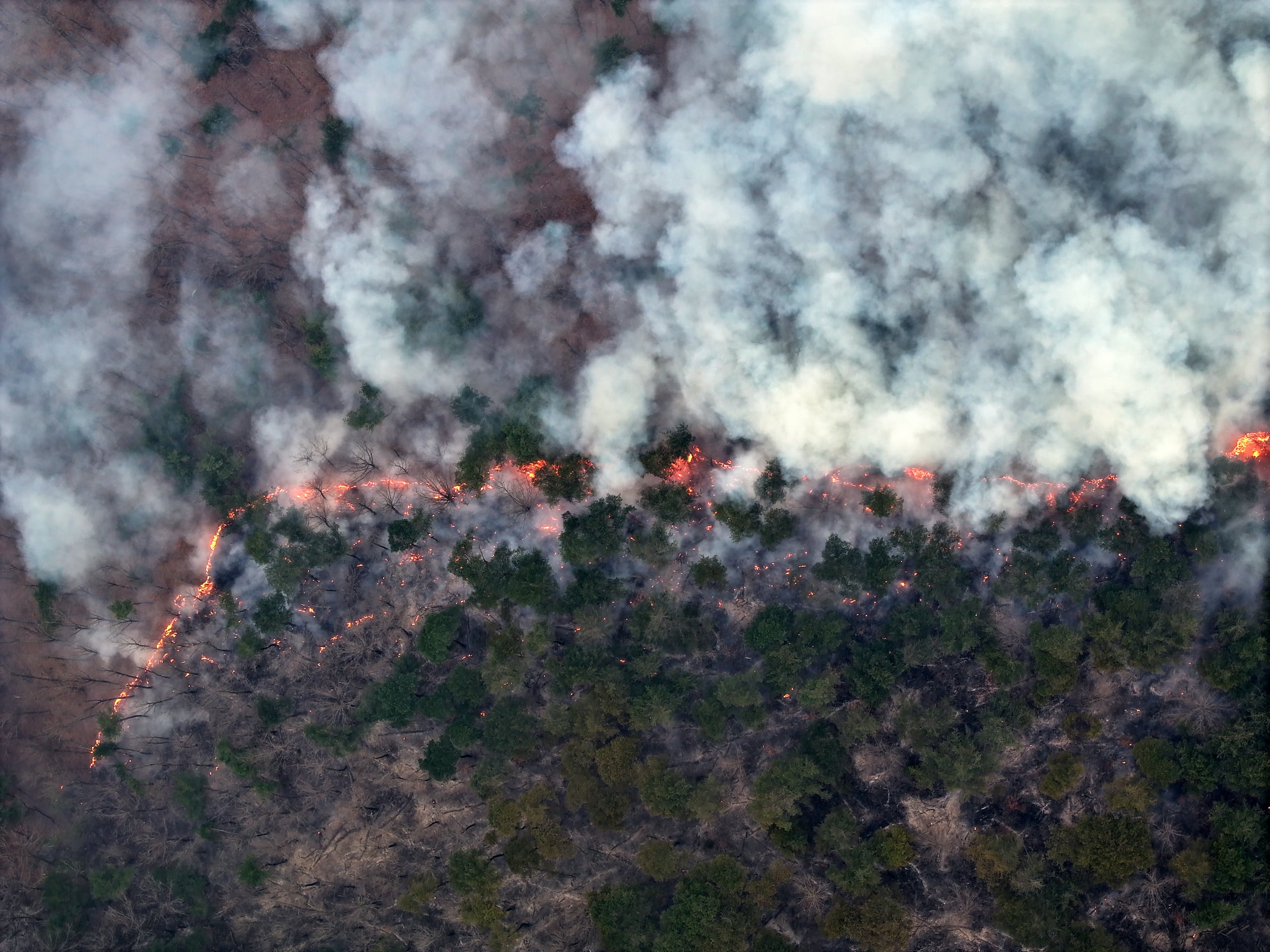 ヒーローズプレイスメント　EP5　黄金の山　島津桜火 RM2YYLIVBJPLZAQPJT32NKWOBU.JPG