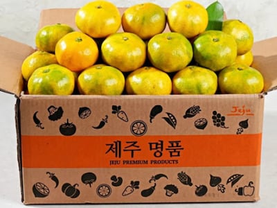 올해 첫 수확 제주 서귀포 노지 감귤, 4.5㎏ 한 상자 9900원 공동구매