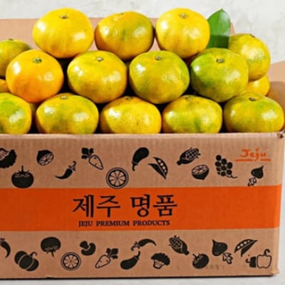 올해 첫 수확 제주 서귀포 노지 감귤, 4.5㎏ 한 상자 9900원 공동구매