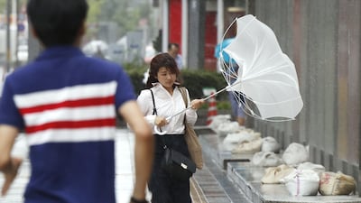 “태풍 땐 버스 타고, 쓰나미엔 걸어서 대피”