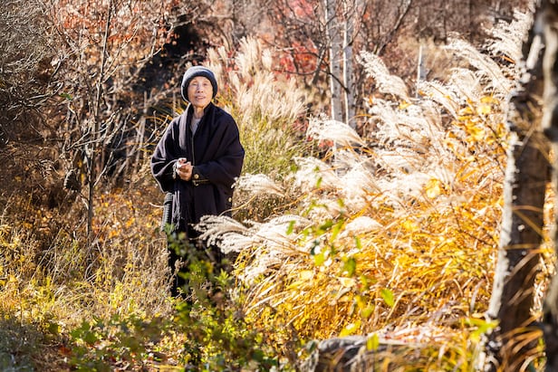 정영선 조경가의 자택은 경기도 양평에 있다. 다정한 산세 끝에 있어 산과 정원이 하나인듯 보인다. 그는 "이곳은 정원이라기보다는, 우리나라 전통 나무나 풀 같은 것들이 왔다갔다 하는 곳"이라고 했다. /양수열 영상미디어 기자