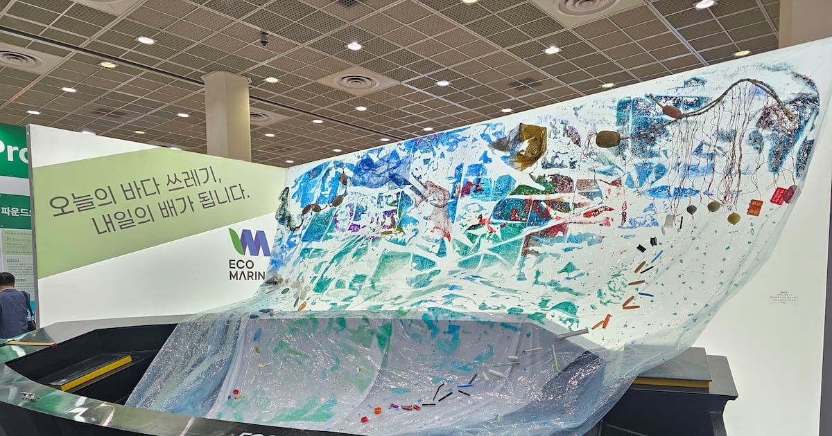 친환경 플라스틱으로 선박 만든다고? 어선·구조정... 벌써 16척 바다 위... - 뉴스 썸네일 이미지