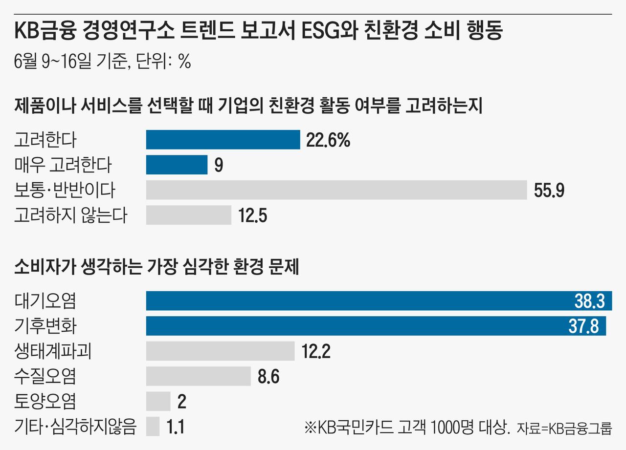 경쟁사 분석과 차별화 전략: 품질 보증과 친환경 제품 사용