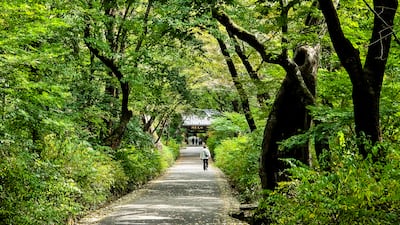 춘마곡 추갑사… 붉게 물드는 계룡산 품에서 건져 올린 삶과 수행 이야기