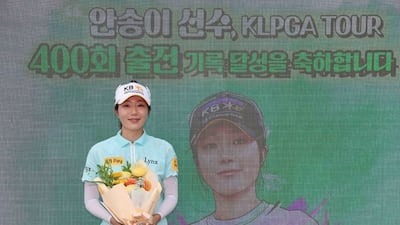 안송이