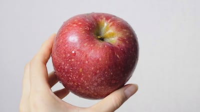 품절대란, 요즘 대세 사과 ‘경북 감홍’ 특대과 5kg 4만원대 단독 특가