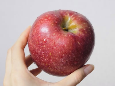 품절대란, 요즘 대세 사과 ‘경북 감홍’ 특대과 5kg 4만원대 단독 특가