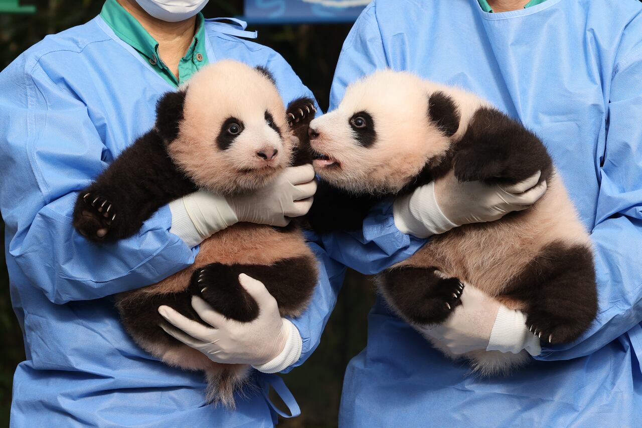 더 한장] 슬기로운 보물과 빛나는 보물, image size:1280x853