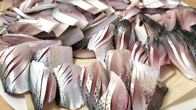 드디어 왔다 전어 제철, 한 접시 1만원대 초특가 공동구매
