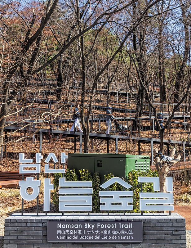 namsan-sky-forest-trail-embraces-slow-nature-friendly-design