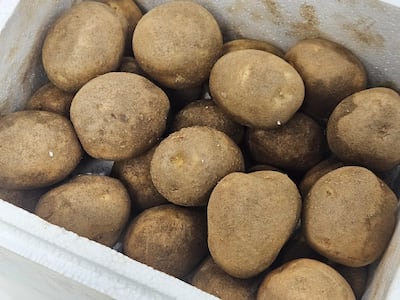 강원도 두백감자 7kg 한 박스 1만8000원, 150상자 한정 특별 공동구매