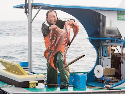 돌문어의 10배, 고성 50㎏ 대문어를 아시나요