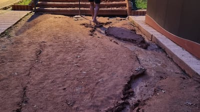 전국 2000곳 맨발 황톳길... 비 오면 진흙탕, 골탕먹는다