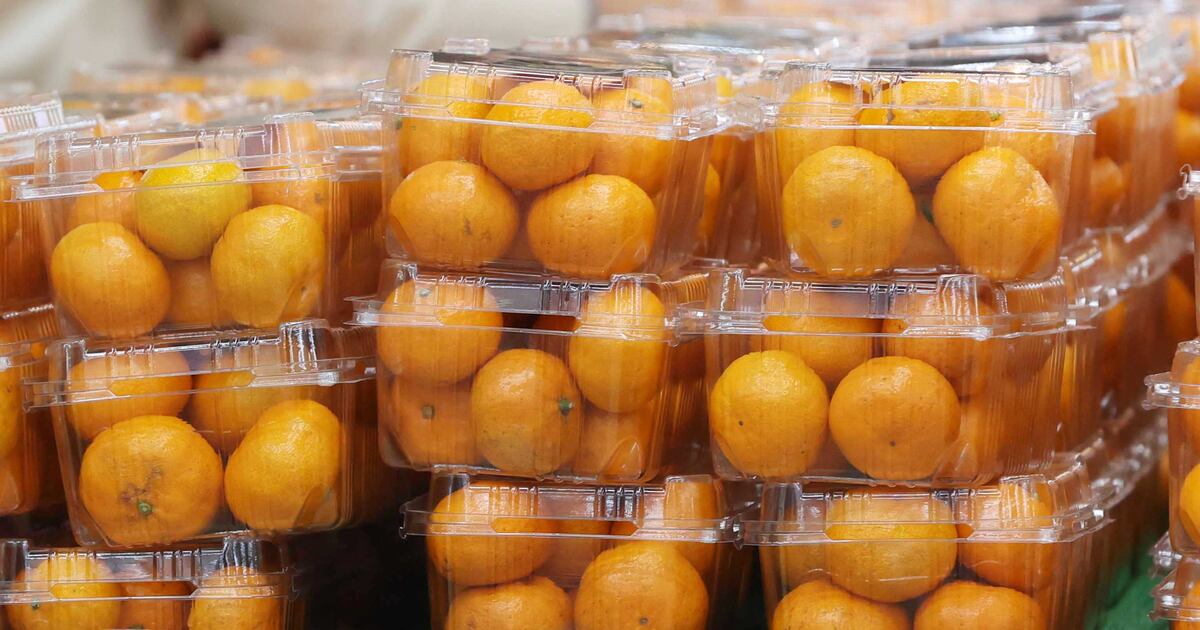 ’과육컵.통조림’ 제주산 감귤 알맹이 제품, 미국 월마트 수출길 오른다 - 뉴스 썸네일 이미지