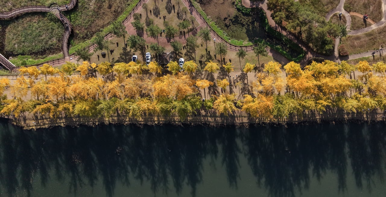 더 한장] 평균기온 상승이 앗아간 가을의 색, image size:1280x653