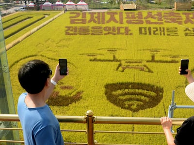 김제지평선축제서 김밥 먹은 300여 명 식중독 증상... 줄줄이 입원