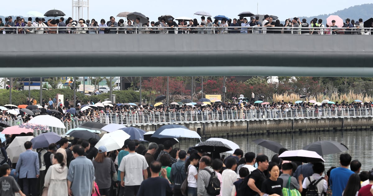 Crowds gather at Busan Bukhang waterfront park to see the shark Bukangi