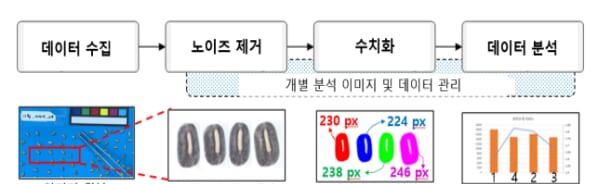 “종자 11가지 특성 1초 만에 분석”… 농진청, 표현체 영상기술 고도화 – 출장용접