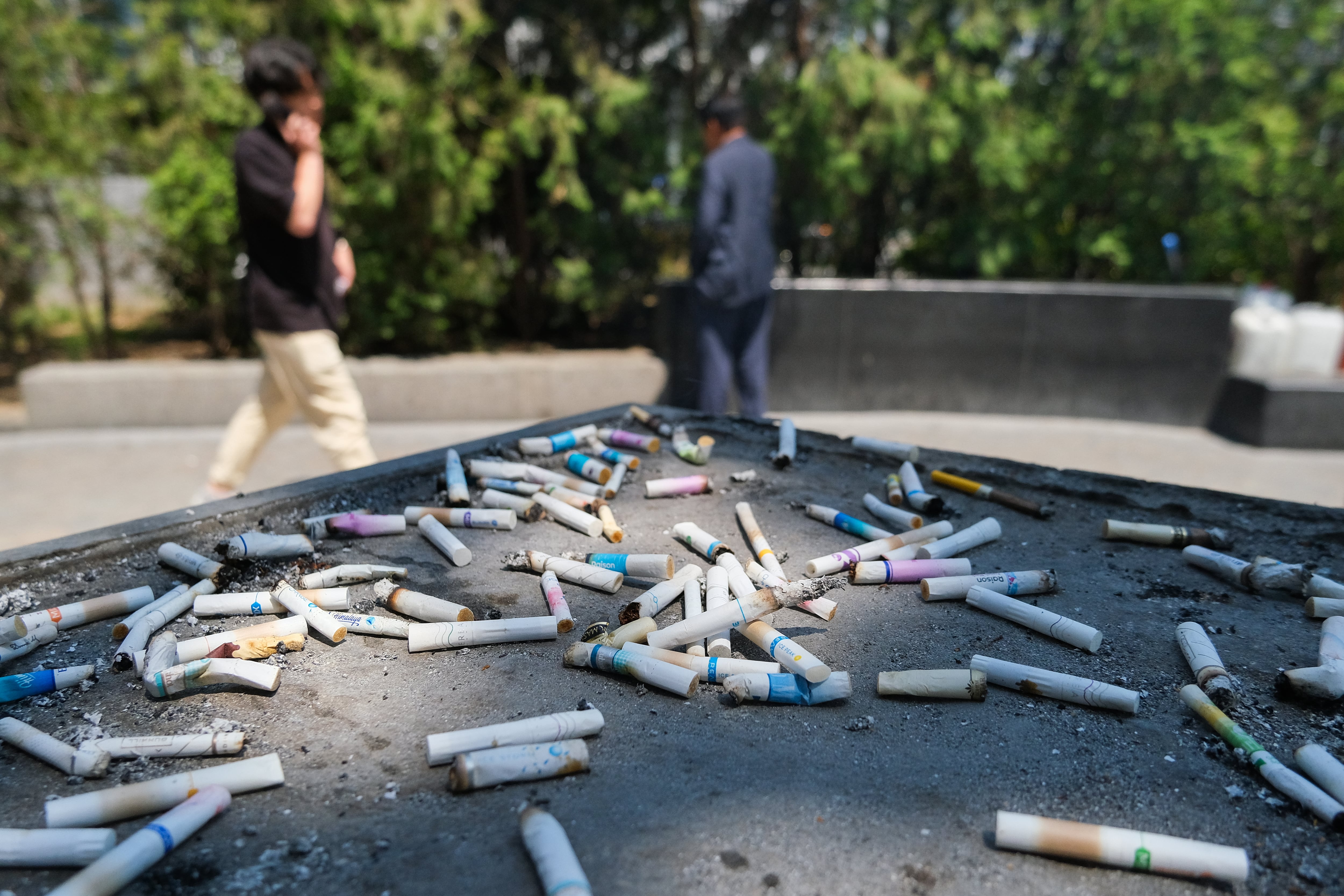 폰테크 달인 – WHO “전 세계 성인 5명 중 1명이 흡연”