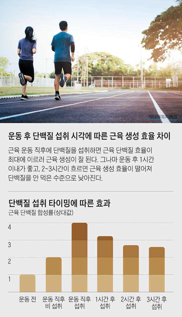 요즘 단백질 먹고 속이 메스꺼울 때 사용하는 것 2