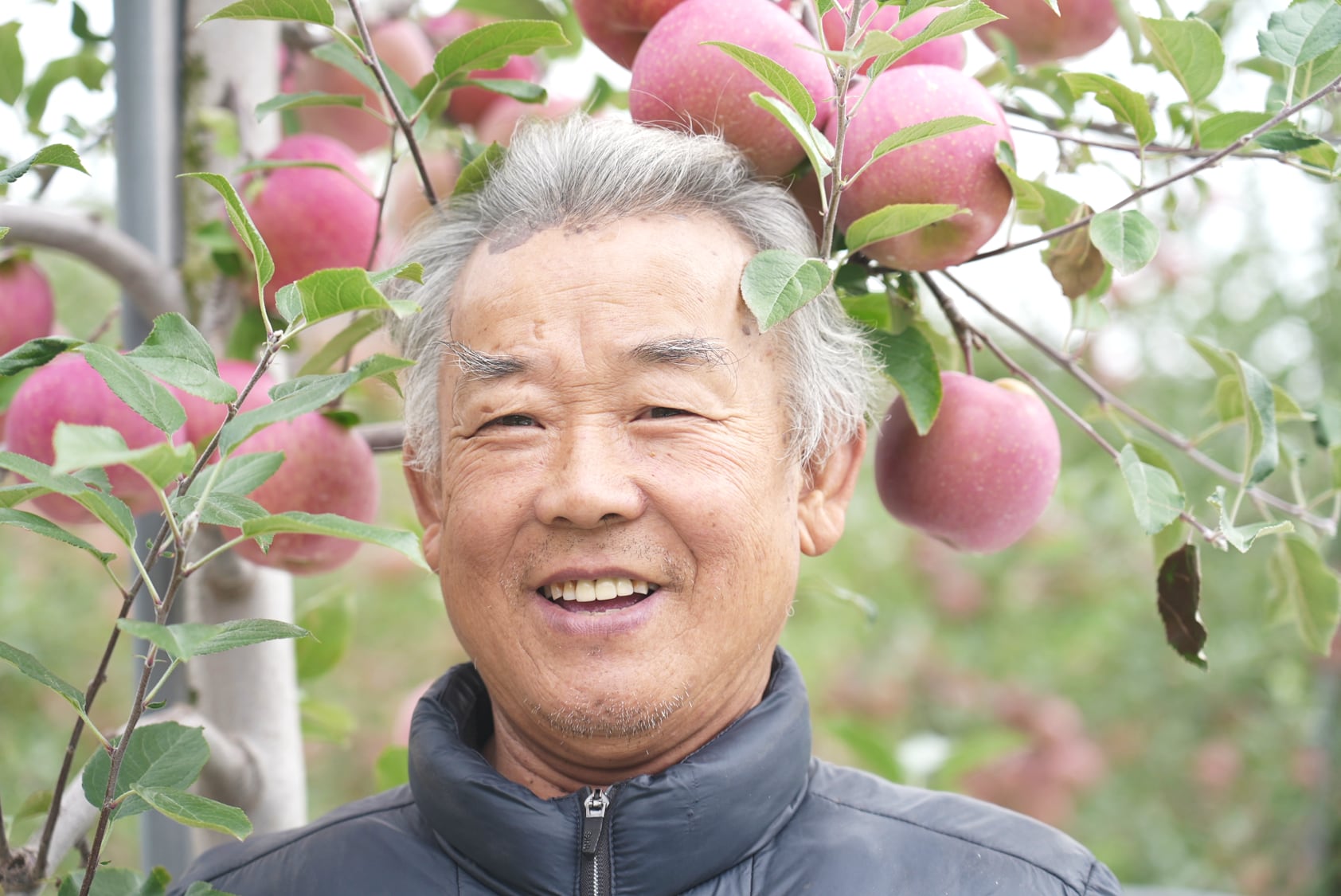 웹사이트상위노출 홈페이지상위노출 사이트상위노출어느새 여기까지 올라왔네, 현재 한국에서 가장 맛있는 사과가 나는 곳