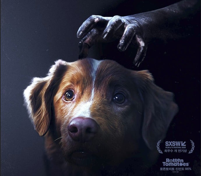 영화 '굿보이'의 주인공 개 인디(Indy)로 최고의 연기를 보여준 댕댕이는 실제 이름도 인디인 리트리버입니다. CG없이 백퍼센트 몸소 연기했다고 하는데 연기력이 놀라워요. 심지어 잘생겼습니다.