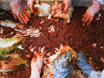 김치와 프로바이오틱스, 둘 중 하나를 골라 먹는다면