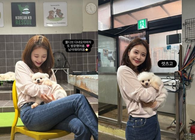 폰테크 달인 아옳이, 번식장 구출 모견 입양 “새끼 50마리 낳으며 학대받아” 울컥