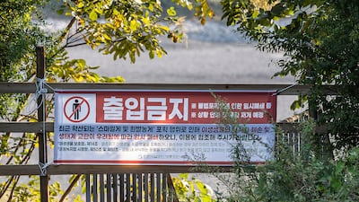 ‘게 잡이 행렬’에 결국 폐쇄… SNS가 키운 무책임한 채집 놀이
