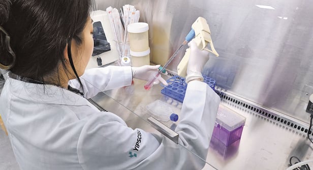 줄기세포 치료제를 개발중인 '입셀'의 연구원이 지난달 서울 서초구에 있는 연구실에서 유도만능 줄기세포(iPS 세포)에 붉은 배양액을 주입하고 있다. 입셀은 iPS 세포를 무릎 연골 세포로 배양해 만든 골관절염 치료제를 환자 3명에게 투여하는 임상 연구를 진행하고 있다. /박지민 기자